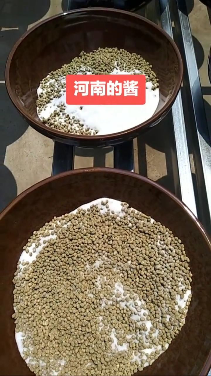 河南特產西瓜醬豆