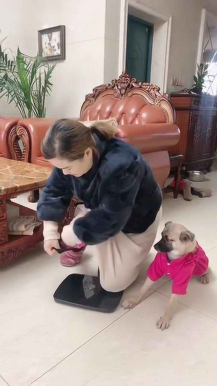 老婆罚跪还不老实,接下来的一幕,让狗情何以堪