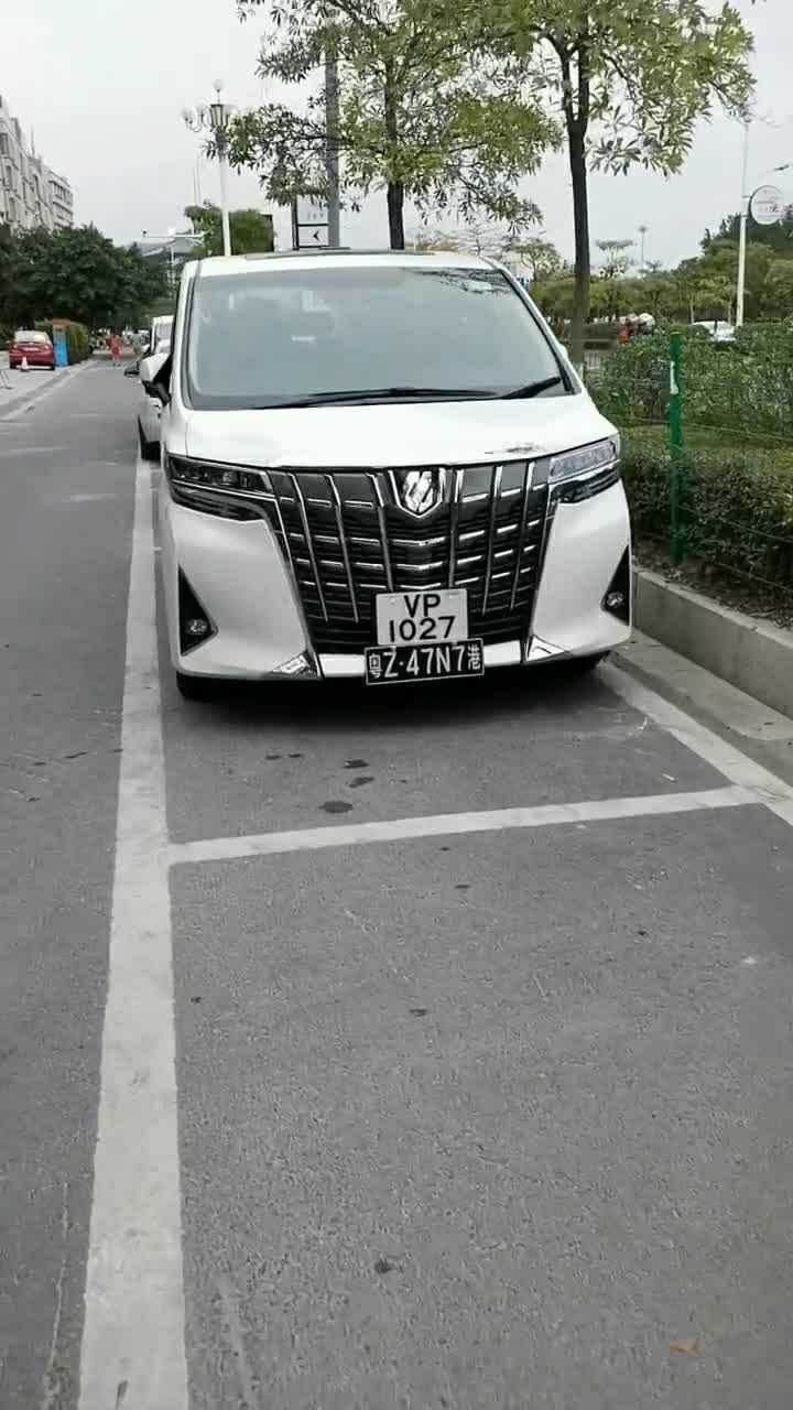 这个两地牌照的丰田阿尔法太帅了正儿八经的大佬座驾