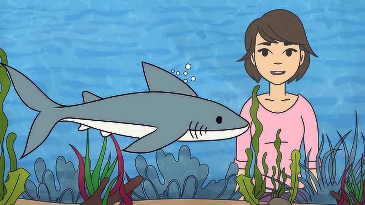 女孩养鲨鱼当宠物爸爸却想把鲨鱼吃掉她该怎么办呢