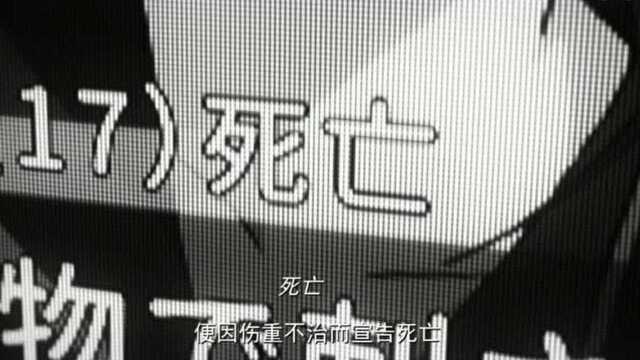 山内有樱名为良,树本无名只待春