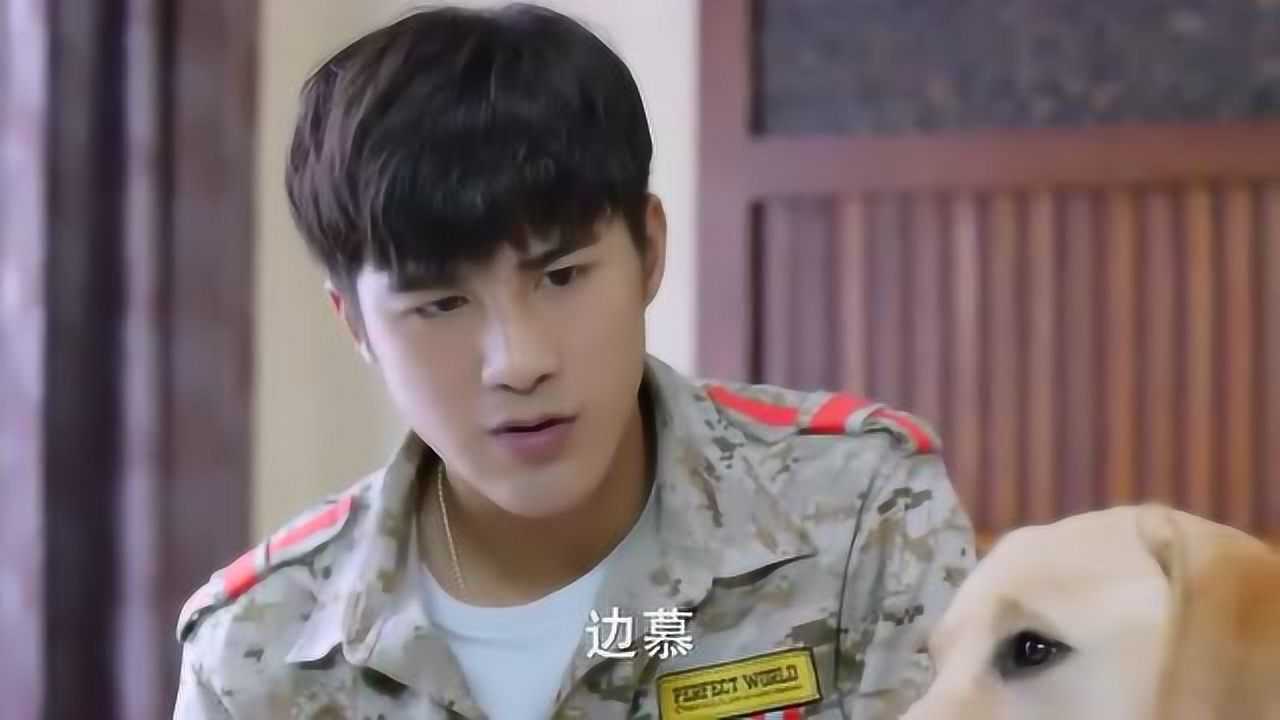 神犬小七3边慕发现敖力果然在为安心准备生日礼物