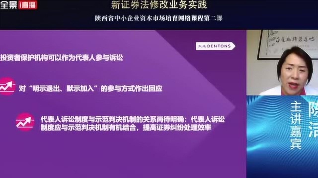 大成律师事务所陈洁:投资者保护机构参与诉讼 突破维权困局