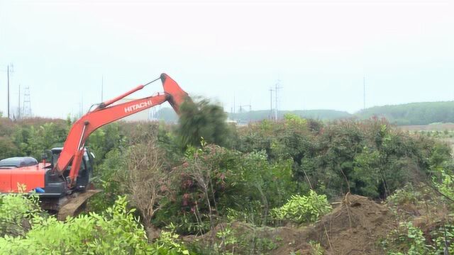 我市多部门联动 确保如期完成公交总站项目建设任务