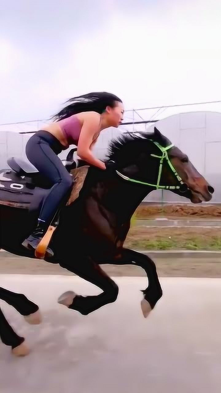 小姐姐骑马果真是英姿飒爽