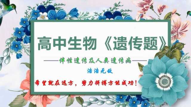 【高中生物】伴性遗传和人类遗传病——浩浩无敌