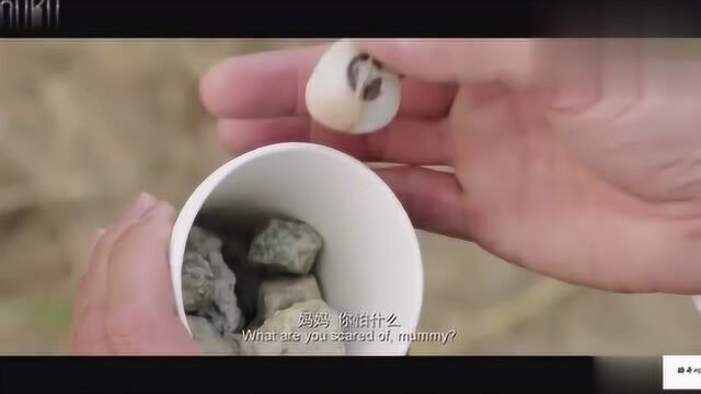 意外获得巨额金卡.