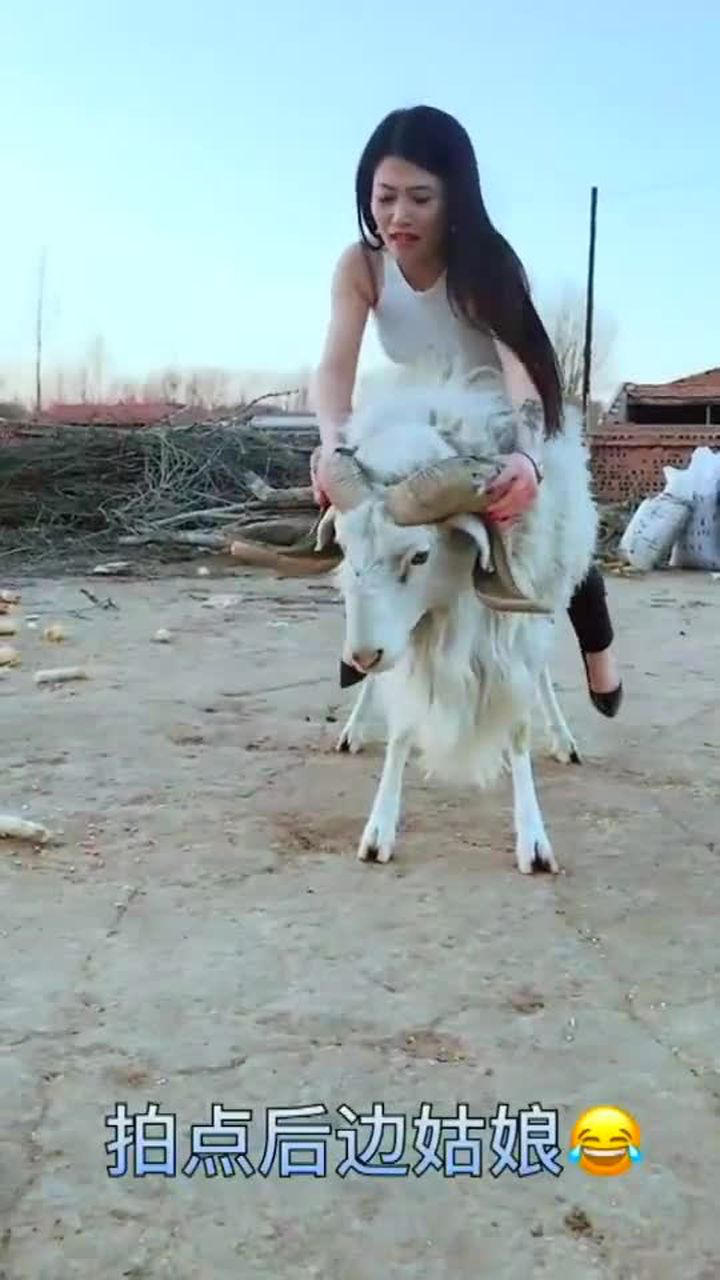 表妹来到农村非要骑大公羊, 这脾气太暴了