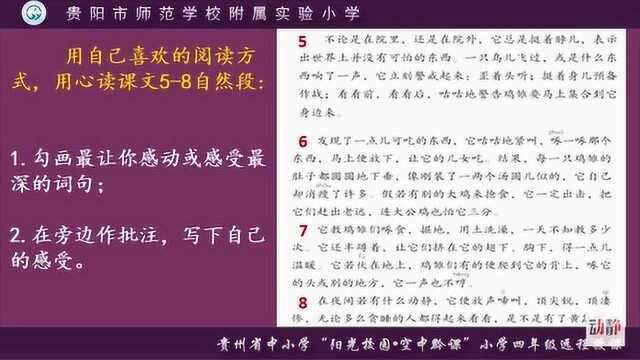 0408002四年级语文母鸡(第二课时)