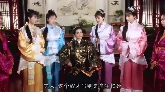 华夫人本想给周星驰赐名“华胜”, 知道他为什么拒绝么?