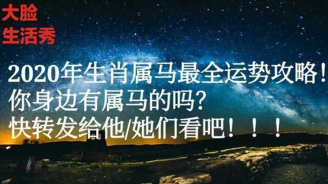 2020年属马人全年运势解读 你身边有属马的人吗?