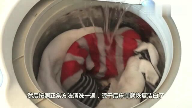 洗床单时水里丢点它,洗得干净还除螨