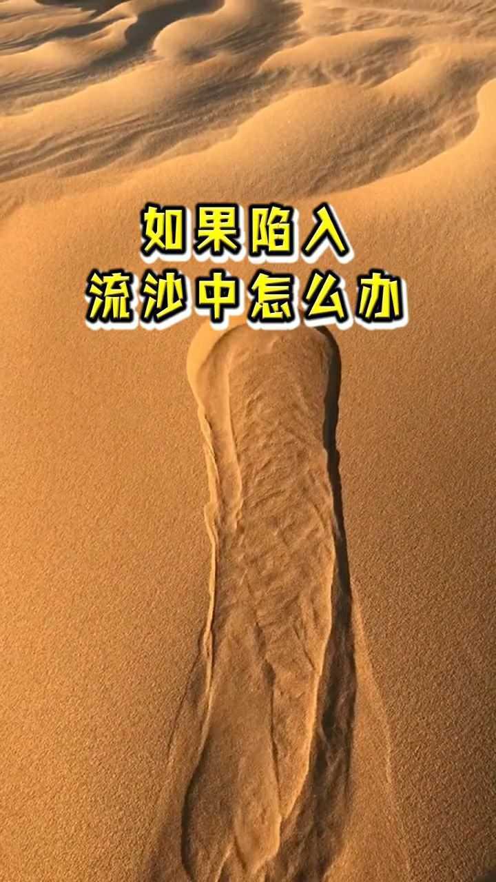 如果不小心陷入沼泽地怎么办?看完就知道应该如何自救!