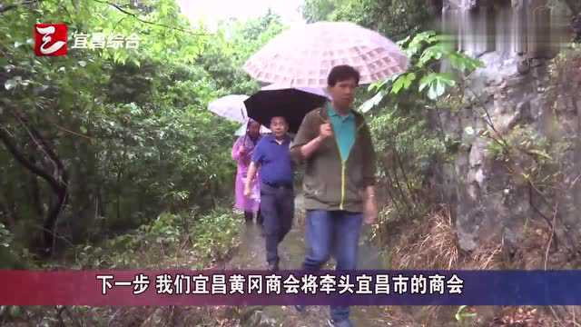 宜昌市22个商会到秭归考察旅游资源