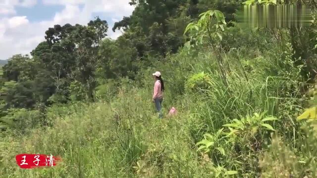 王子清公益:大山里女孩的梦想,希望有一个白马王子一起放牛