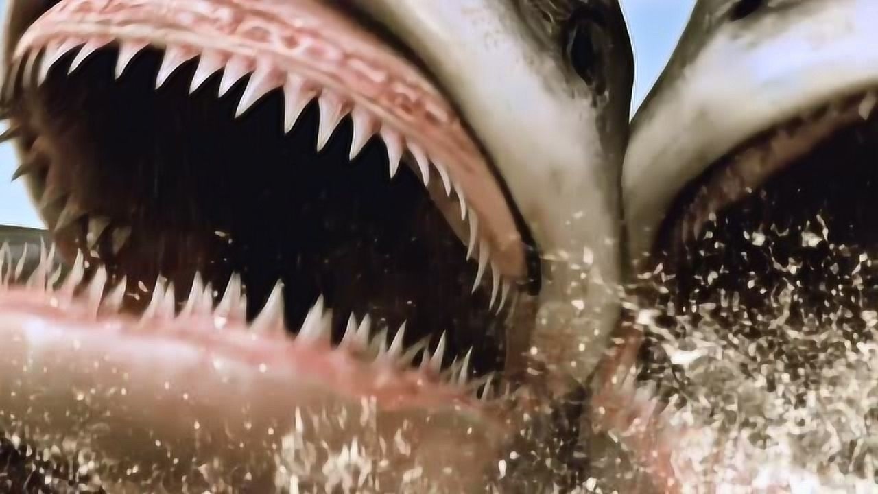 电影五头鲨直往船上冲场面真是吓死人