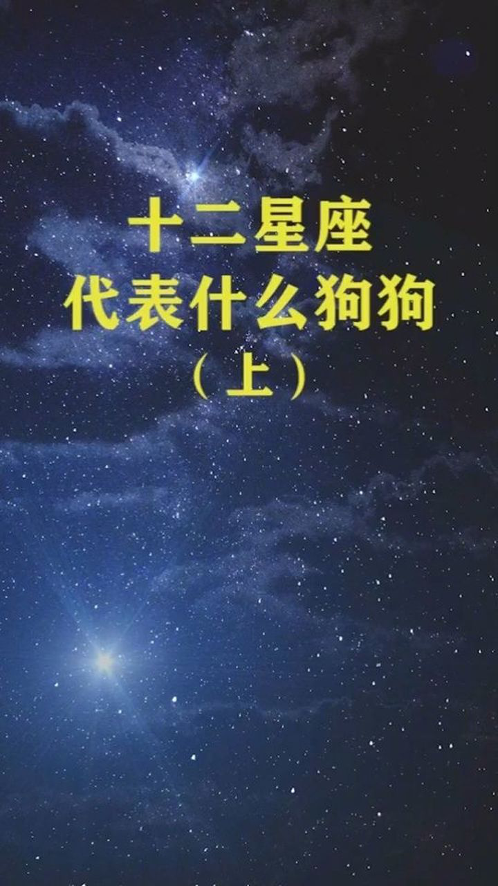 12星座代表什么狗狗
