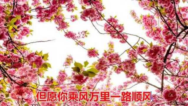 一首怀旧情歌《祝福你》好听极了