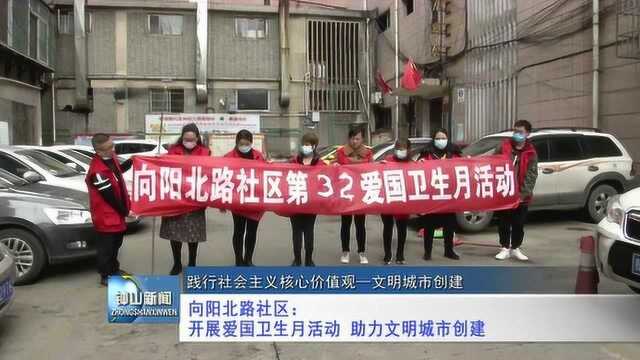 向阳北路社区:开展爱国卫生月活动 助力文明城市创建