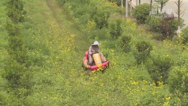 疫情下的乡村振兴:农业科技助力复工复产