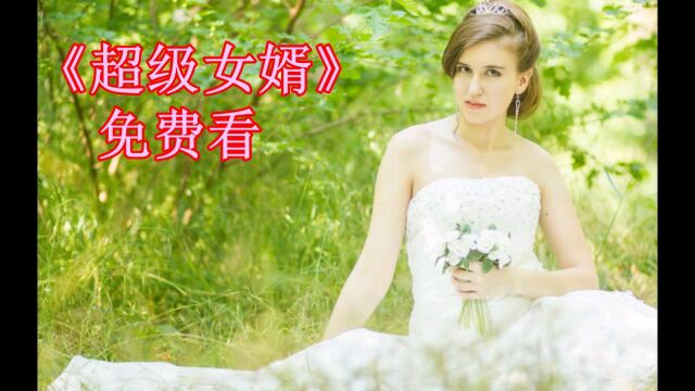 超级女婿全部免费全文阅读