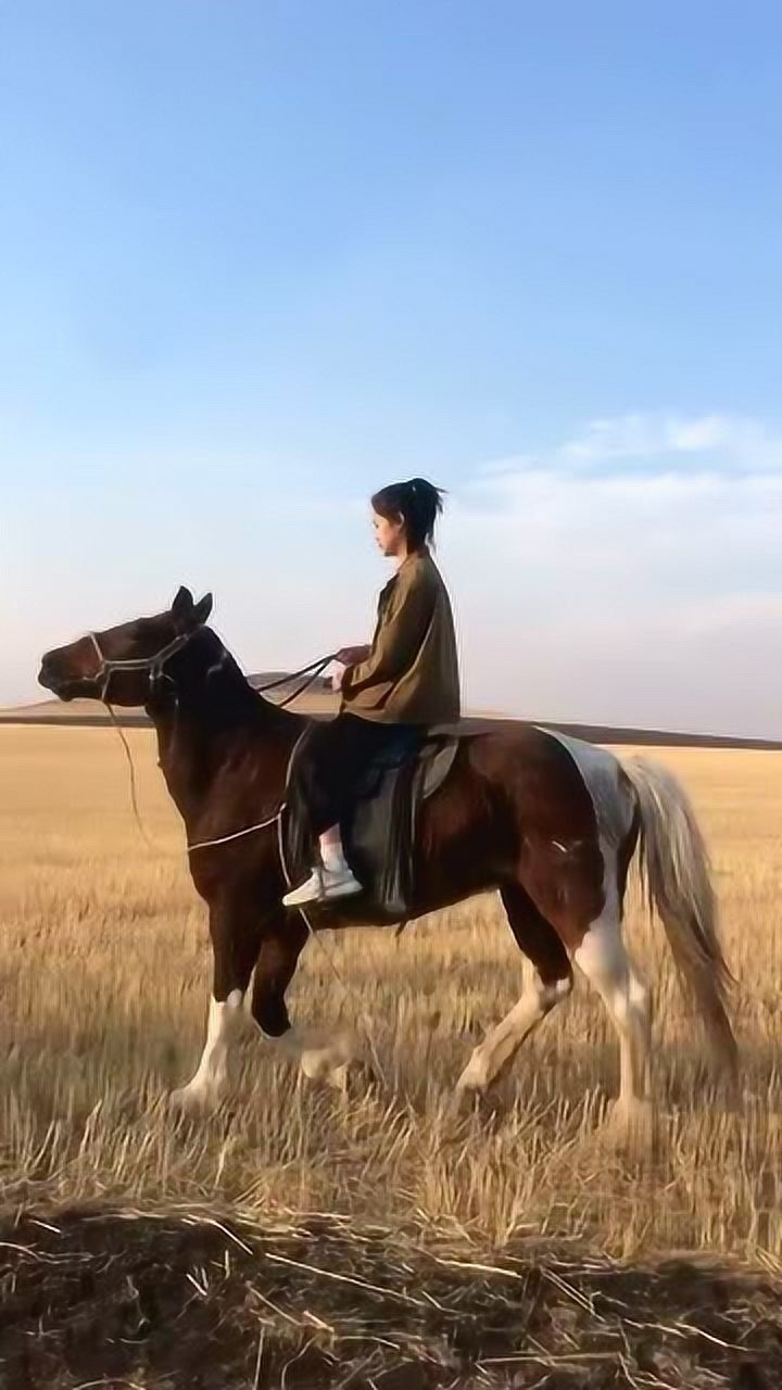 女孩子骑马帅起来,真是没有男孩子的事情了,你觉得酷不酷?