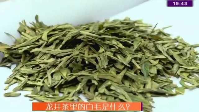 龙井茶里的白毛是什么?