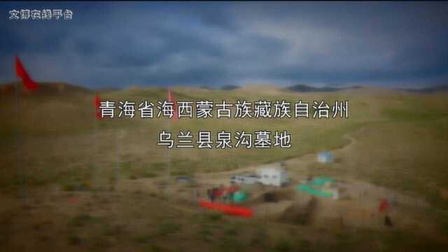 2019十大考古新发现推介:青海乌兰泉沟吐蕃时期壁画墓