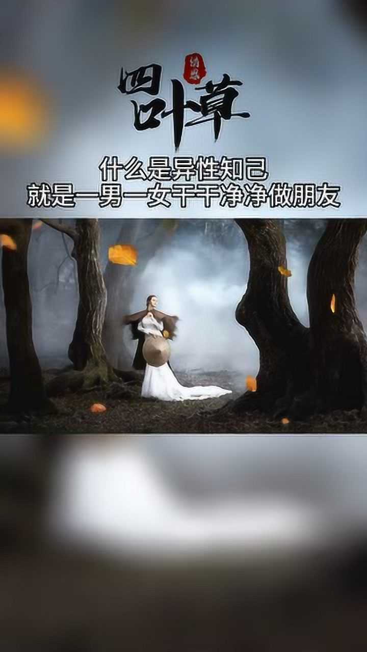 真正异性知己只知心别动心只陪伴别打扰