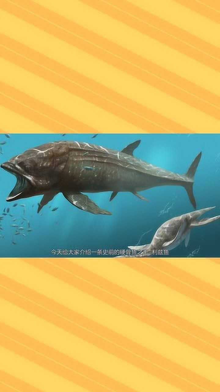 利兹鱼侏罗纪的海中吸尘器16米长的史前硬骨鱼之王