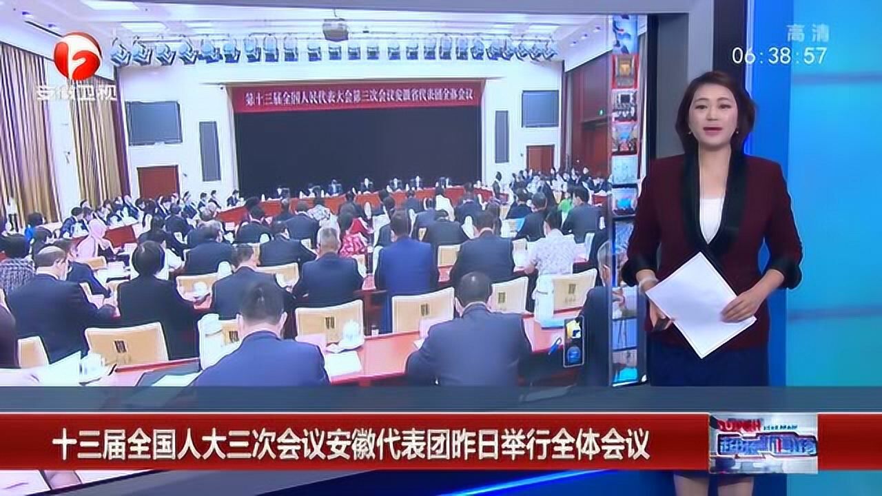 十三届全国人大三次会议安徽代表团5月20日举行全体会议