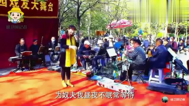 听戏唱戏桃花庵,马艳秋,九尽春回杏花开