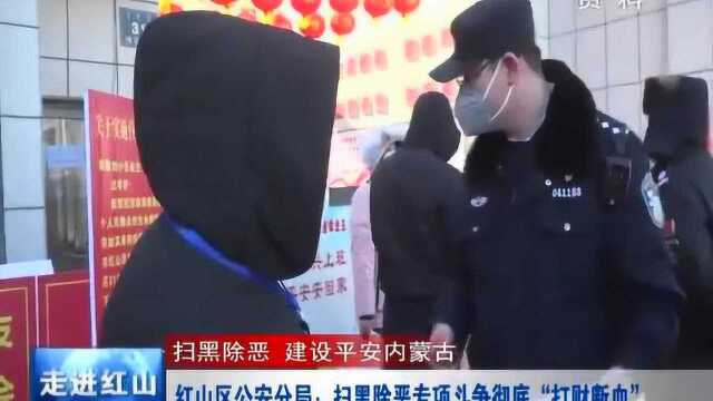 红山区公安分局:扫黑除恶专项斗争彻底“打财断血”