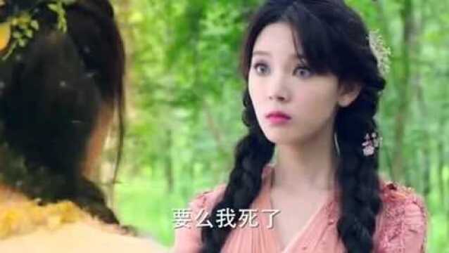 丑女子偷吃禁果,直接瞬间变成的万人迷的美人,族人们羡慕嫉妒恨!