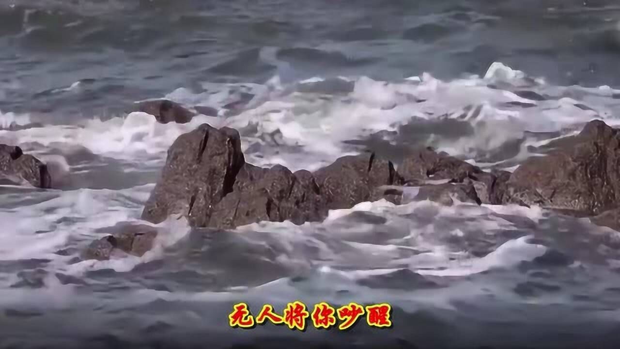 三块木头翻唱一支榴莲的原创歌曲海底温柔且富有磁性的嗓音超级好听