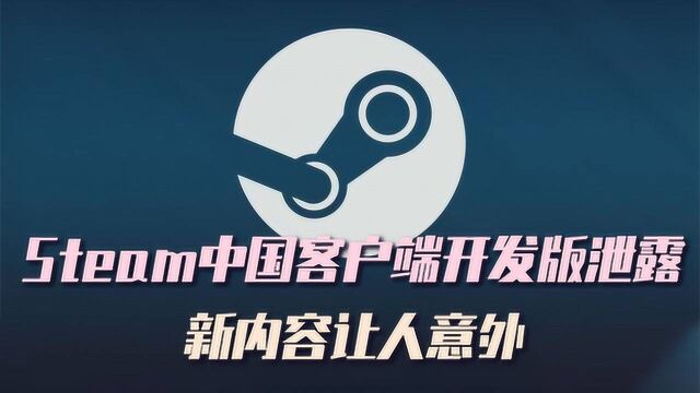 Steam中国客户端开发版泄露,新内容让人意外