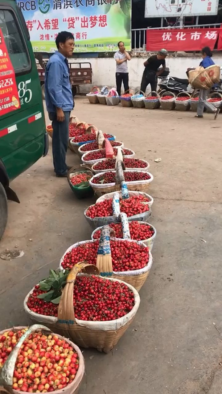 只有卖樱桃的没有买樱桃的农民卖不出你们买不起问题到底出在哪里