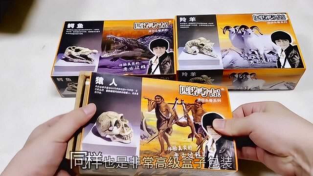 100元“头骨系列挖宝”,猿人头骨造型独特,能挖到特别版本吗?