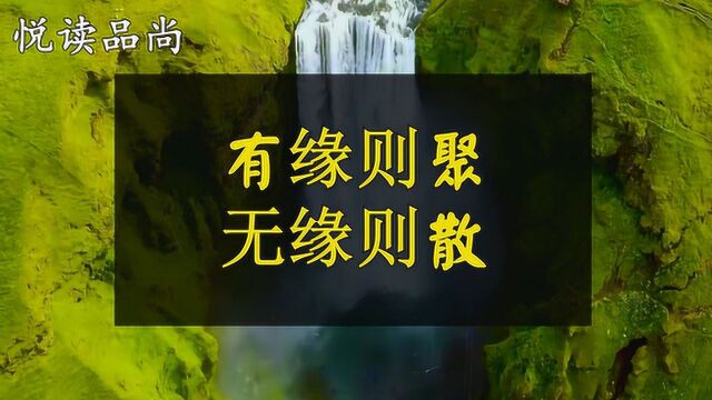 人与人之间,相遇是一种缘分,有缘则聚,无缘则散