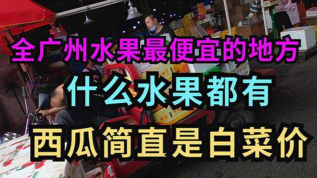 这里是广州批发水果最便宜的地方,啥水果都有,西瓜简直是白菜价