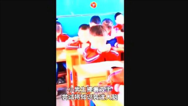 小学生把知识装进脑袋