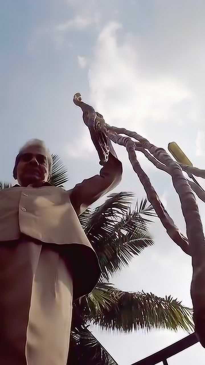 世界上最长的手指甲,获吉尼斯世界纪录,看着吓人!