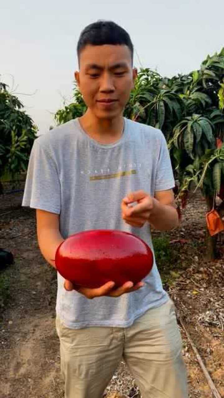 第一次见到红皮的西瓜这是在杂交品种还是变异了