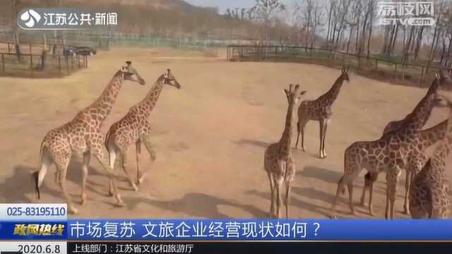 文旅企业经营现状如何?动物园停业期间开销大 资金压力加重!