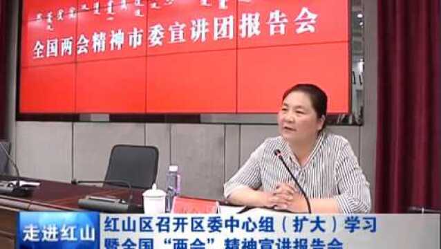 红山区召开区委中心组(扩大)学习暨全国“两会”精神宣讲报告会