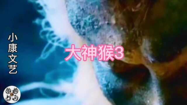 《大神猴3》隆重登场,谭俏执导,谢苗,何蓝逗领衔主演的动作片,不容错过