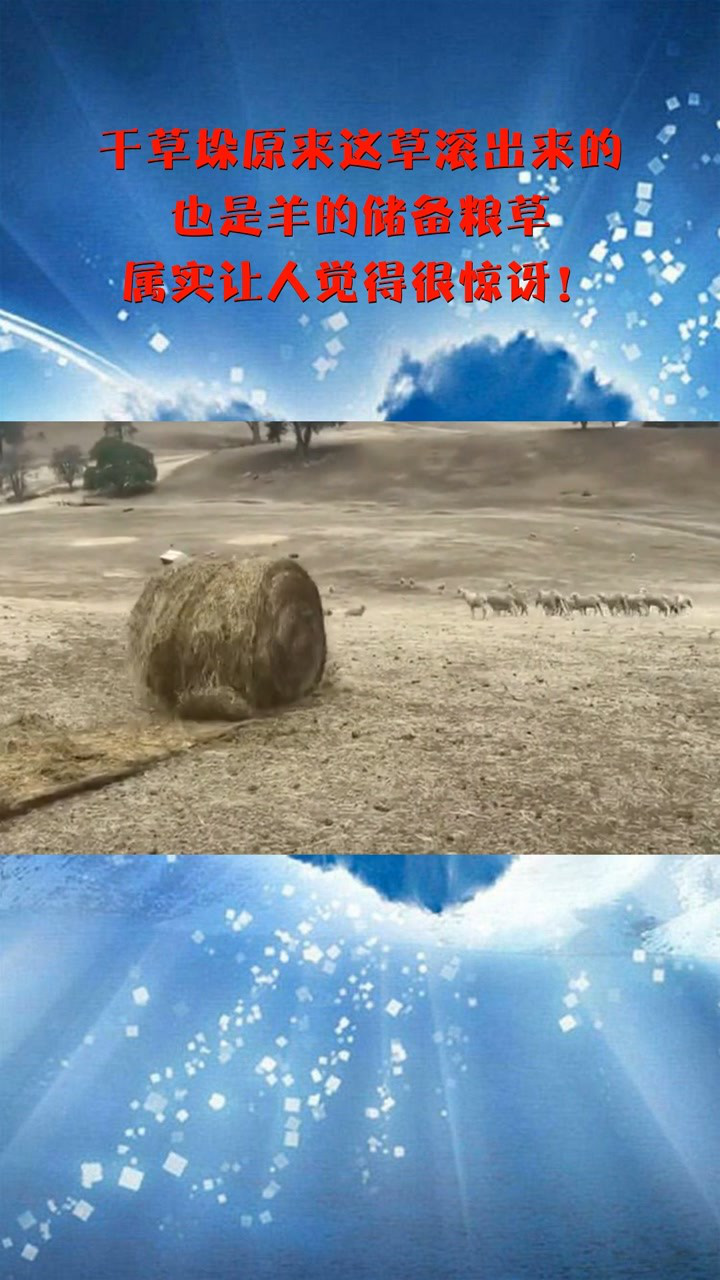 干草垛原来这草滚出来的也是羊的储备粮草属实让人觉得很惊讶