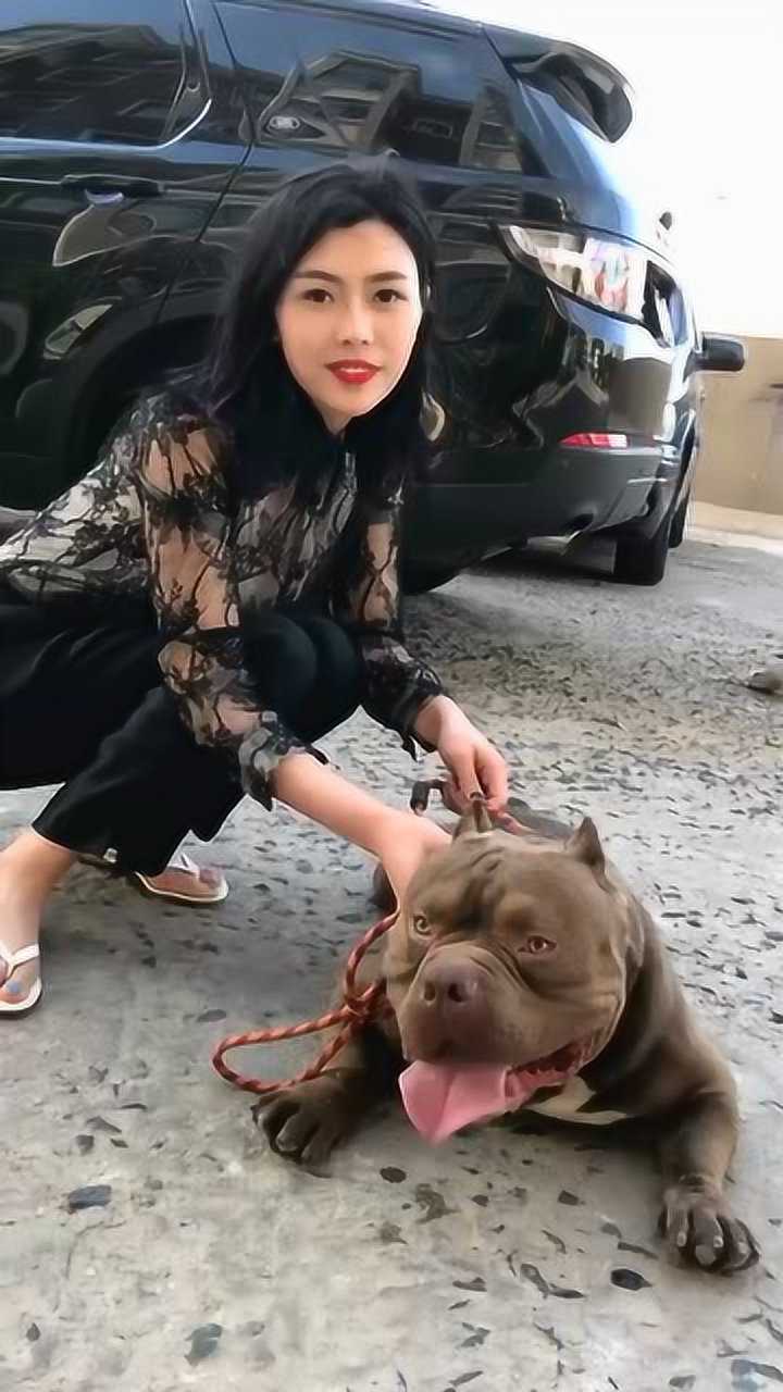 美女的宠物就是特殊这恶霸犬可真够丑的这都什么爱好啊