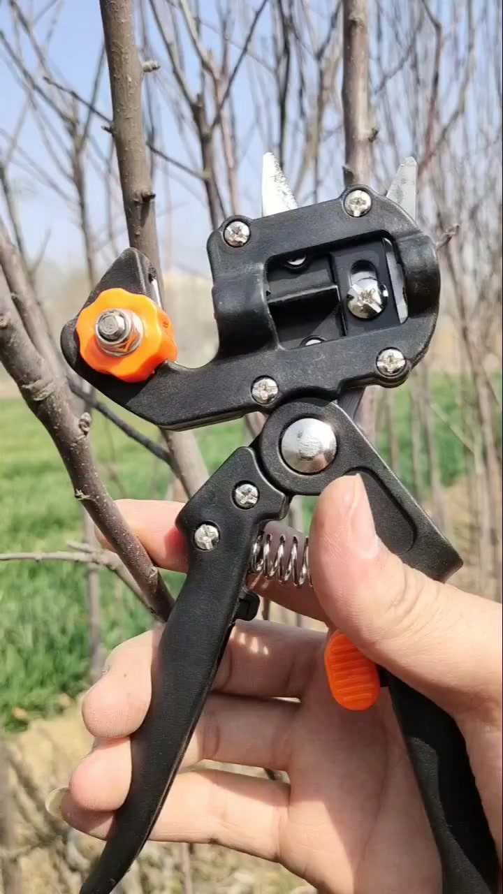 果树嫁接工具来了
