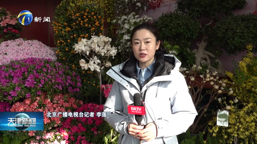 欢乐京津冀 一起过大年:中山公园 "花"样新春